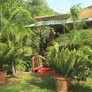 Nature View Maison d'hôtes Sigirîya